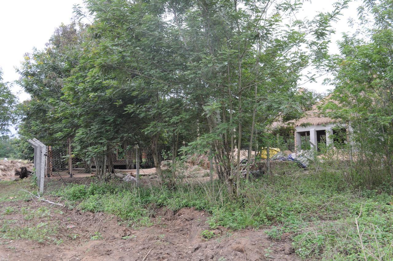 Irungu Forest Safari Lodge Katunguru Εξωτερικό φωτογραφία
