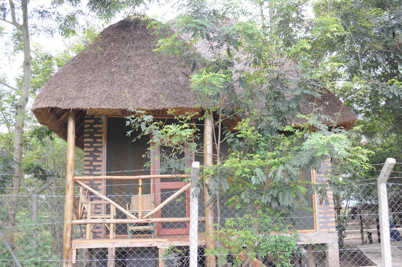 Irungu Forest Safari Lodge Katunguru Εξωτερικό φωτογραφία