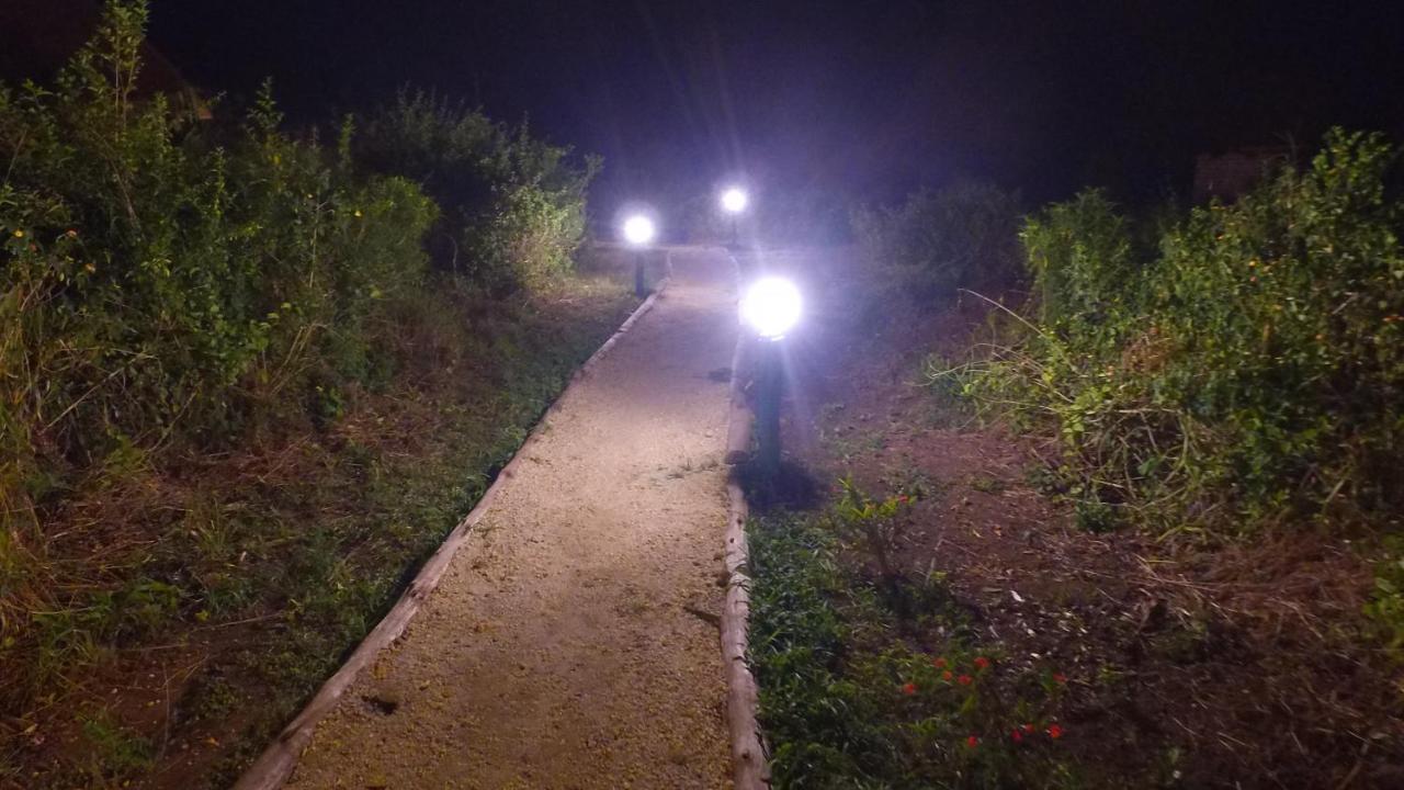 Irungu Forest Safari Lodge Katunguru Εξωτερικό φωτογραφία