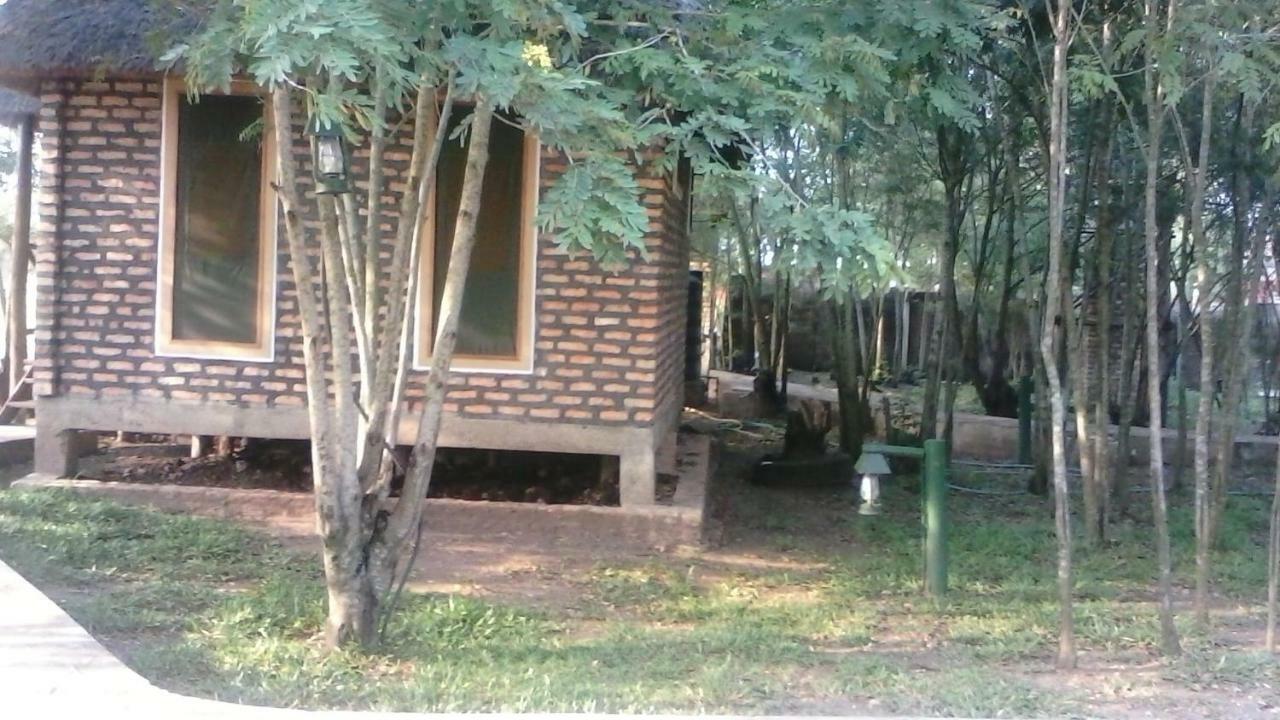 Irungu Forest Safari Lodge Katunguru Εξωτερικό φωτογραφία