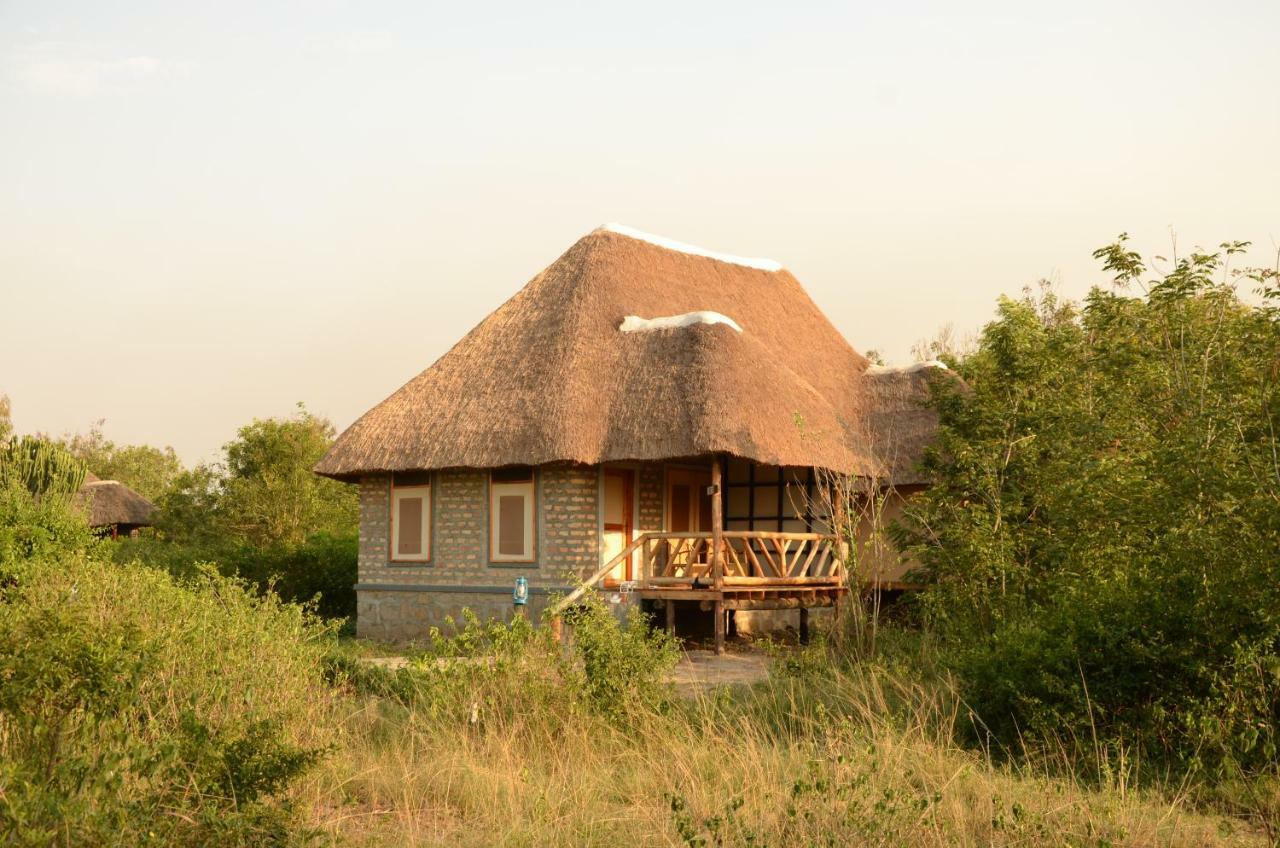 Irungu Forest Safari Lodge Katunguru Εξωτερικό φωτογραφία