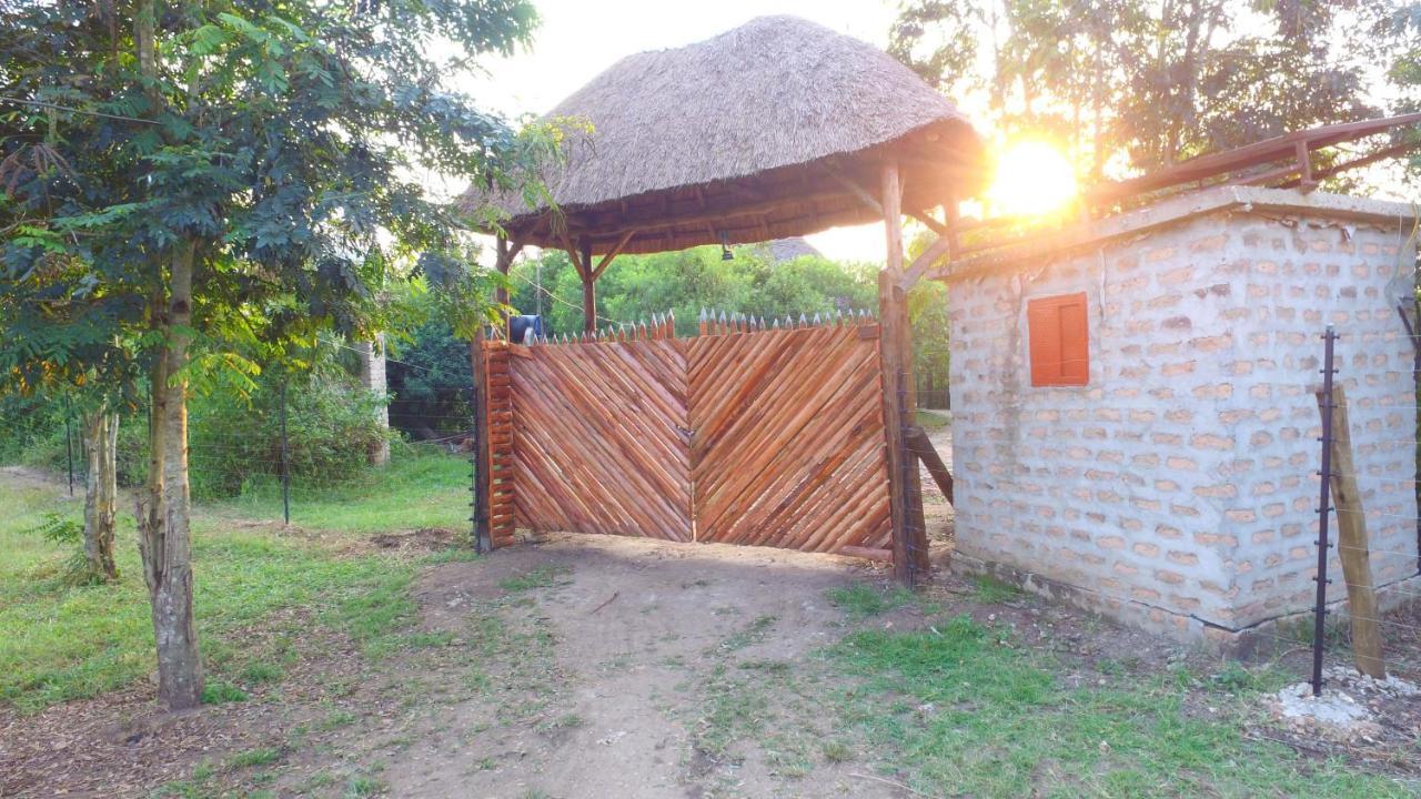 Irungu Forest Safari Lodge Katunguru Εξωτερικό φωτογραφία